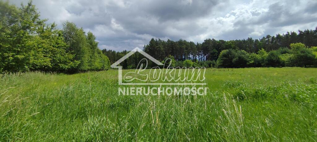 Działka rolna 9609&nbsp;m², Żarnowo - zdjęcie 9