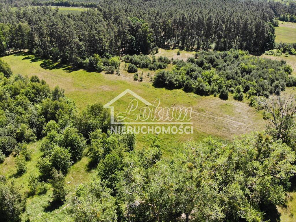 Działka rolna 9609&nbsp;m², Żarnowo - zdjęcie 4