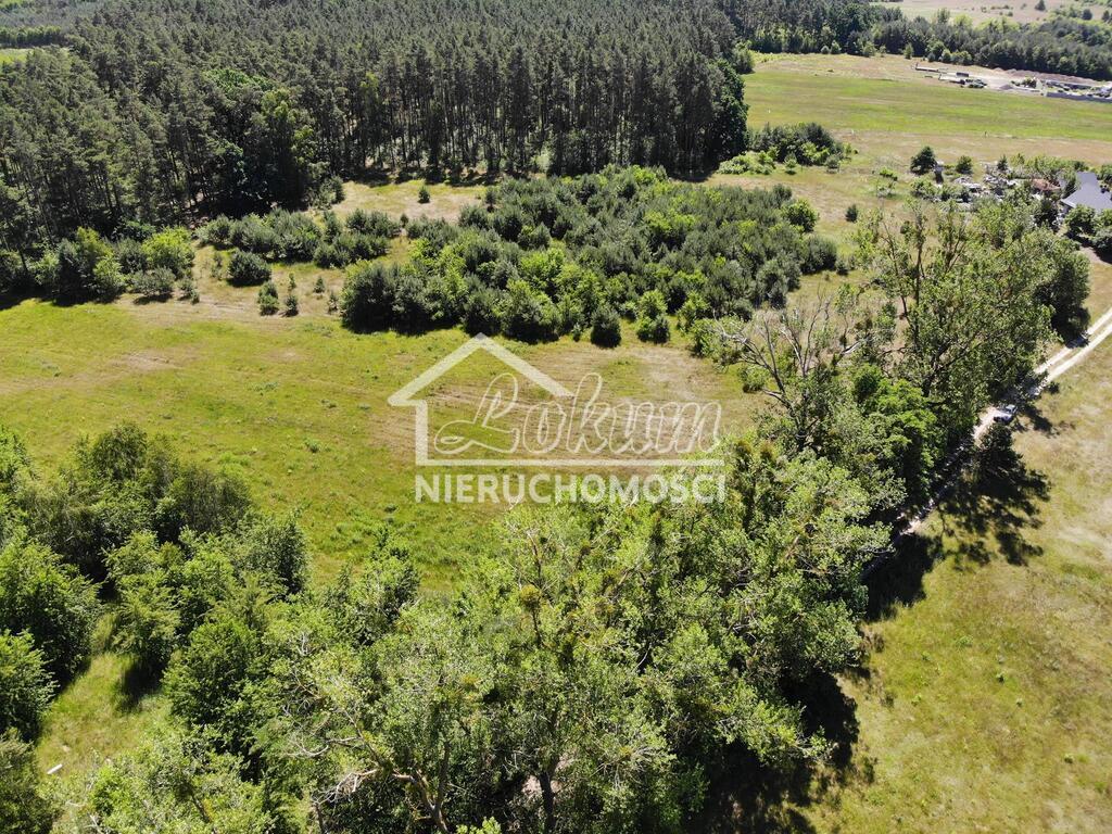 Działka rolna 9609&nbsp;m², Żarnowo - zdjęcie 7