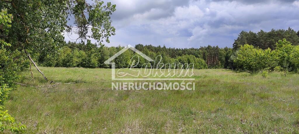 Działka rolna 9609&nbsp;m², Żarnowo - zdjęcie 2