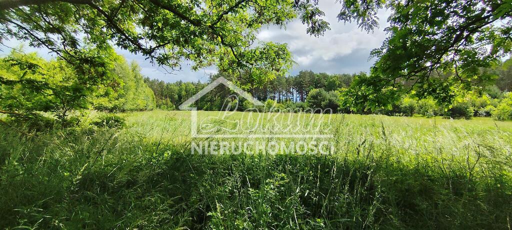 Działka rolna 9609&nbsp;m², Żarnowo - zdjęcie 6