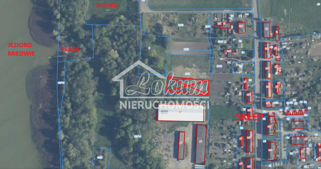 Działka rekreacyjna 2400&nbsp;m², Koszewo - zdjęcie 4