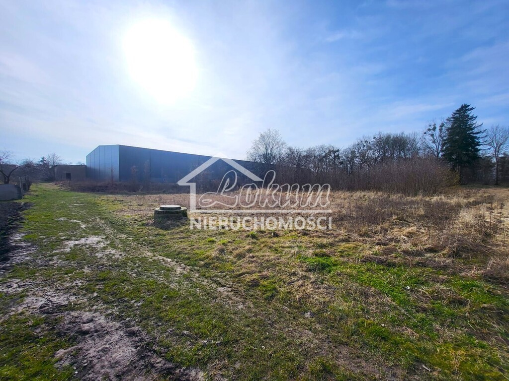 Działka rekreacyjna 2400&nbsp;m², Koszewo - zdjęcie 3