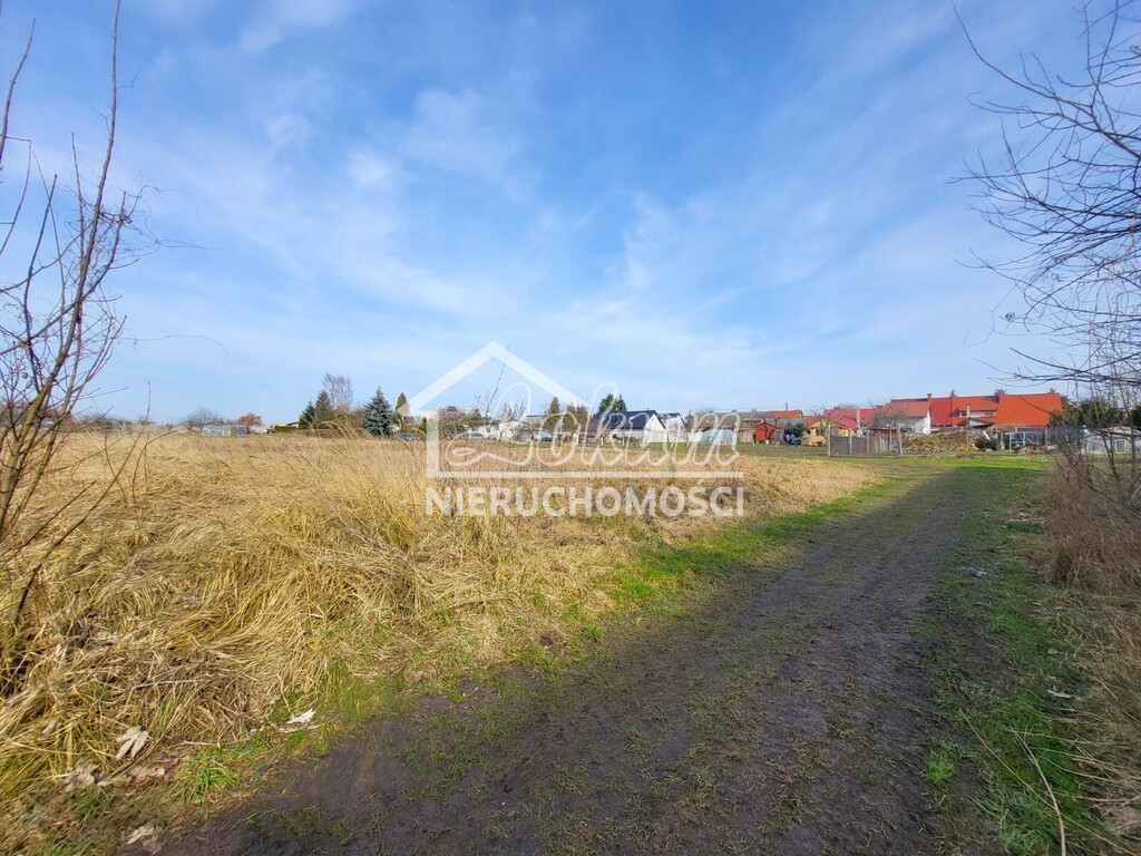 Działka rekreacyjna 2400&nbsp;m², Koszewo - zdjęcie 2