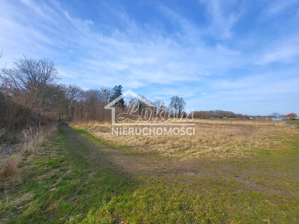 Działka rekreacyjna 2400&nbsp;m², Koszewo - zdjęcie 1