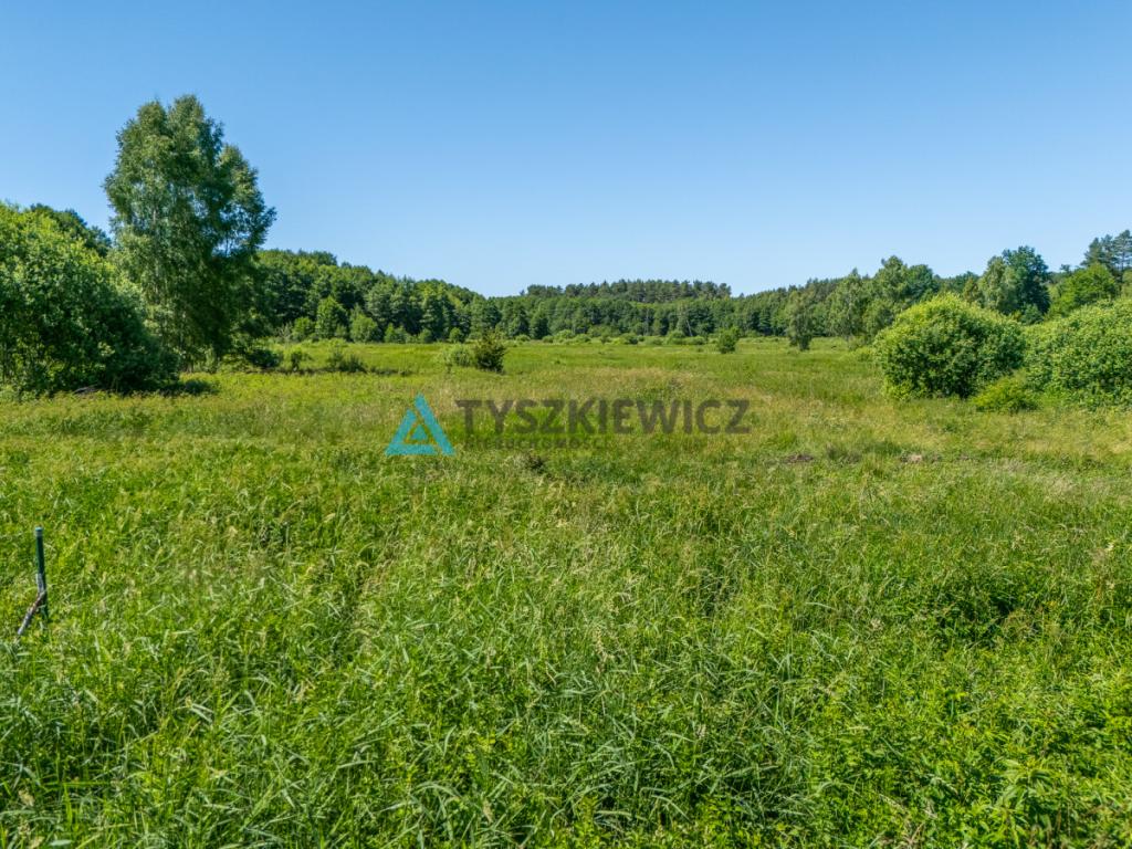 Atrakcyjna działka tylko 200 metrów od jeziora - zdjęcie 15