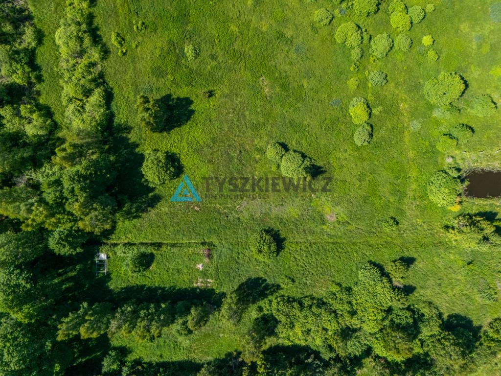 Atrakcyjna działka tylko 200 metrów od jeziora - zdjęcie 17