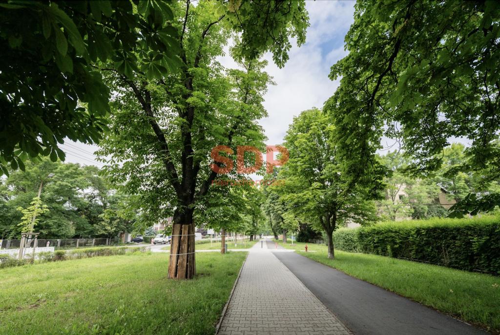 Mieszkanie 76 m², Wrocław, Wiejska - zdjęcie 15