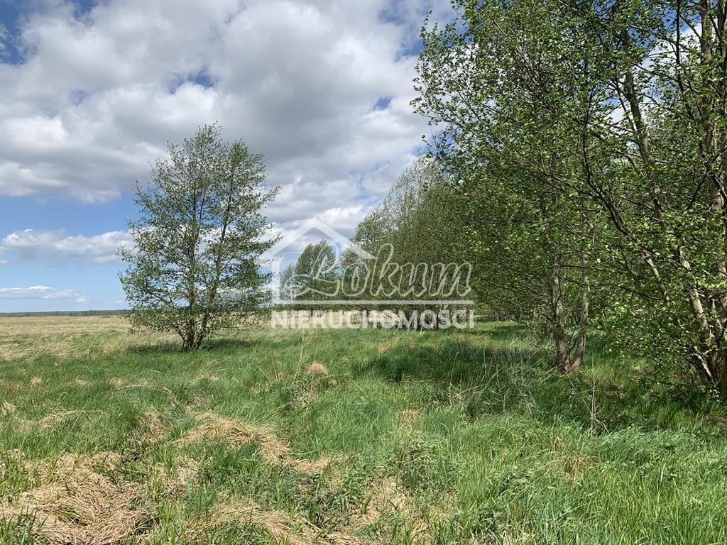 Działka rolna 6126&nbsp;m², Kliniska Wielkie, Bażancia - zdjęcie 2