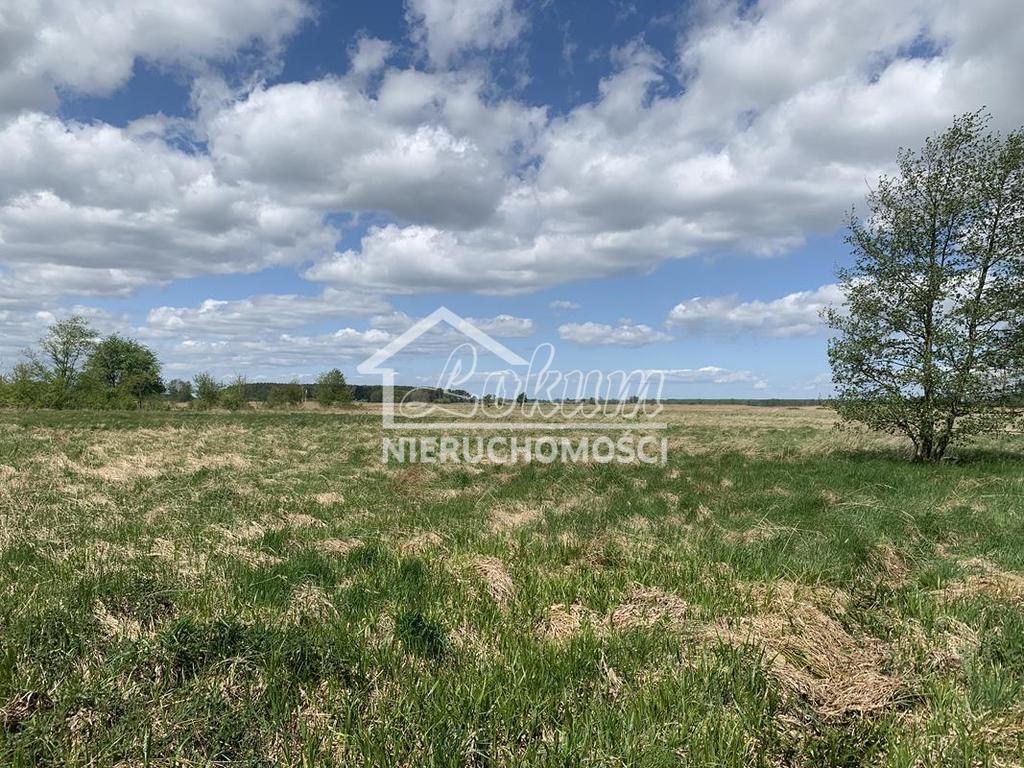 Działka rolna 6126&nbsp;m², Kliniska Wielkie, Bażancia - zdjęcie 1