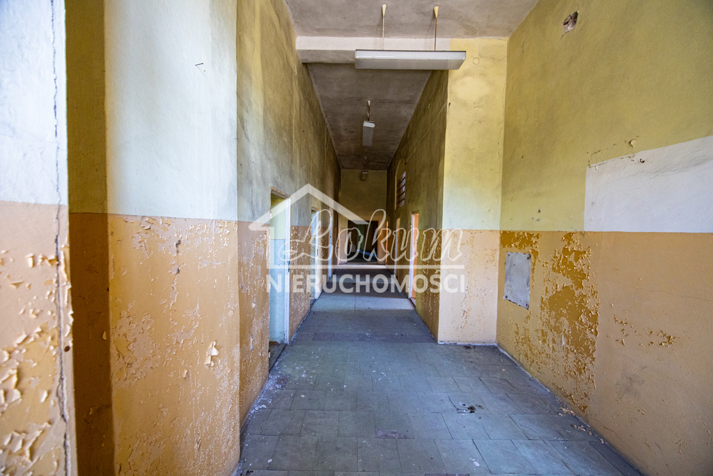 Lokal usługowy na sprzedaż, 2456&nbsp;m², Chojna - zdjęcie 19
