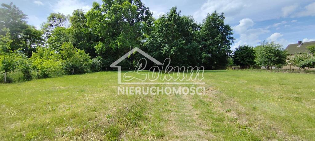 Działka budowlana 2646 m², Żarnowo - zdjęcie 3