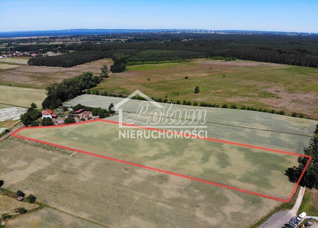 Działka budowlana 3000&nbsp;m², Żarnowo - zdjęcie 4