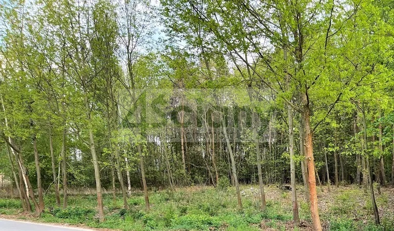 Działka budowlana 6678 m², Nadarzyn - zdjęcie 1