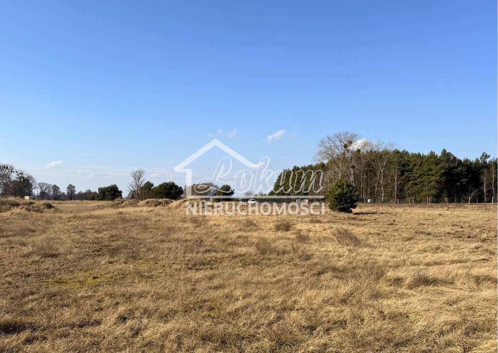 Działka budowlana 838 m², Lubczyna - zdjęcie 2