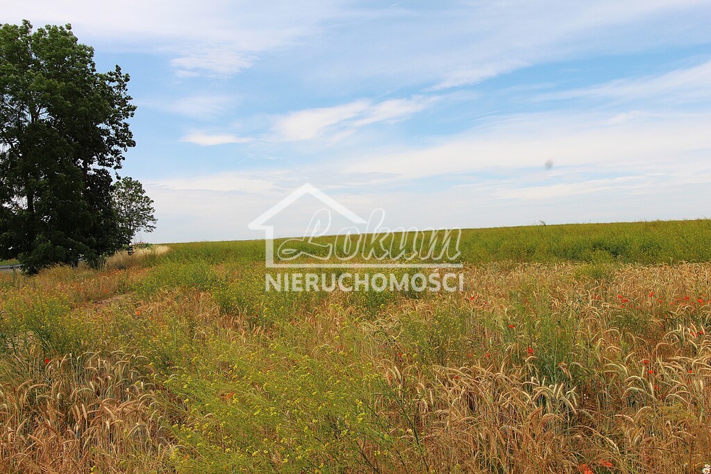 Działka budowlana 1300 m², Bielkowo - zdjęcie 4