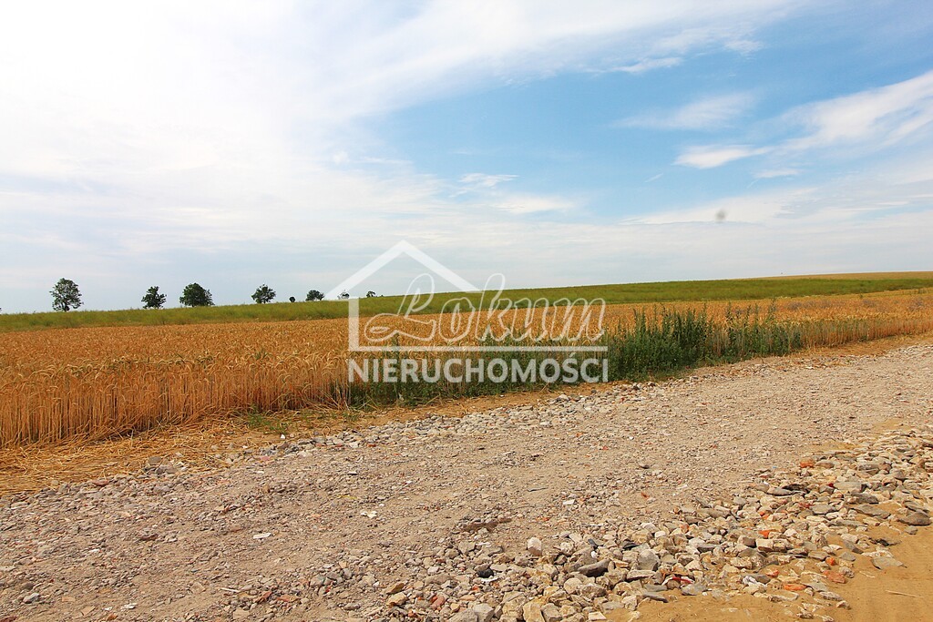 Działka budowlana 1300 m², Bielkowo - zdjęcie 3
