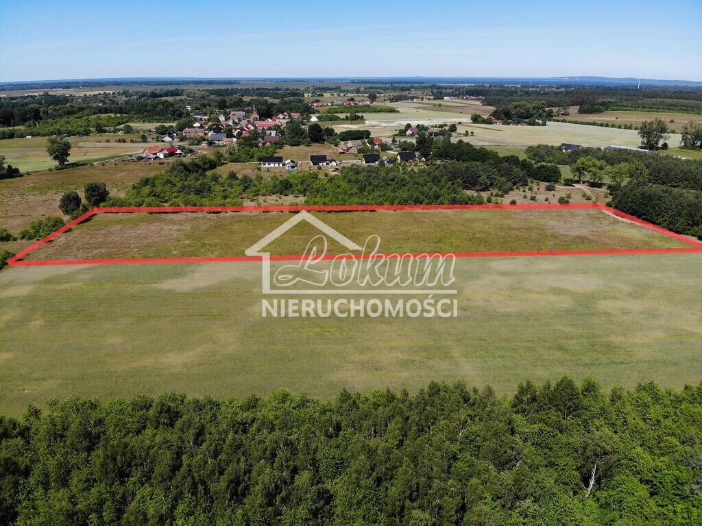Działka rolna 2,11&nbsp;ha, Żarnowo - zdjęcie 4