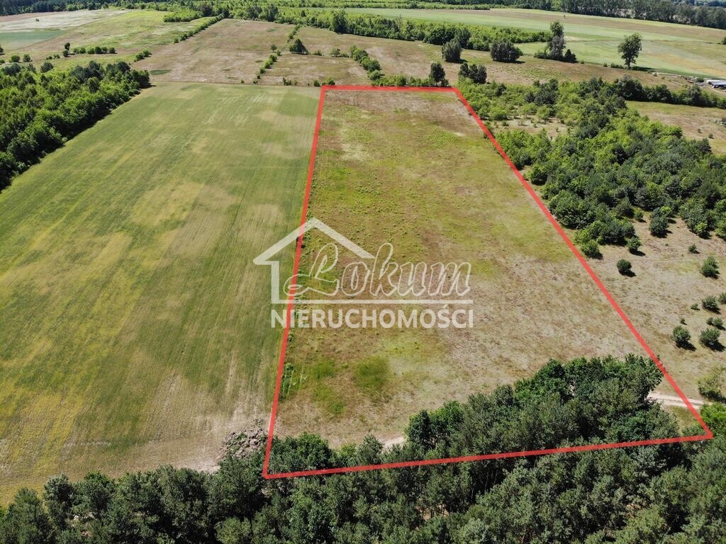 Działka rolna 2,11&nbsp;ha, Żarnowo - zdjęcie 3