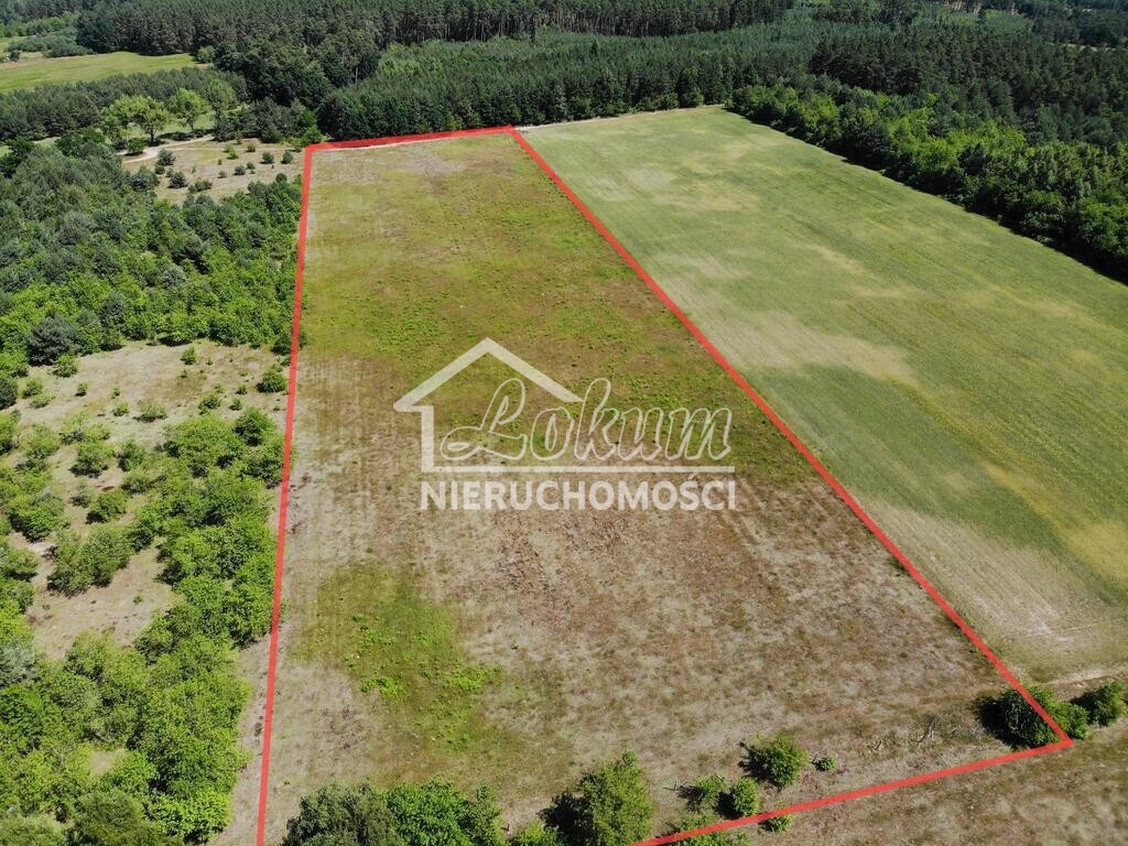 Działka rolna 2,11&nbsp;ha, Żarnowo - zdjęcie 2