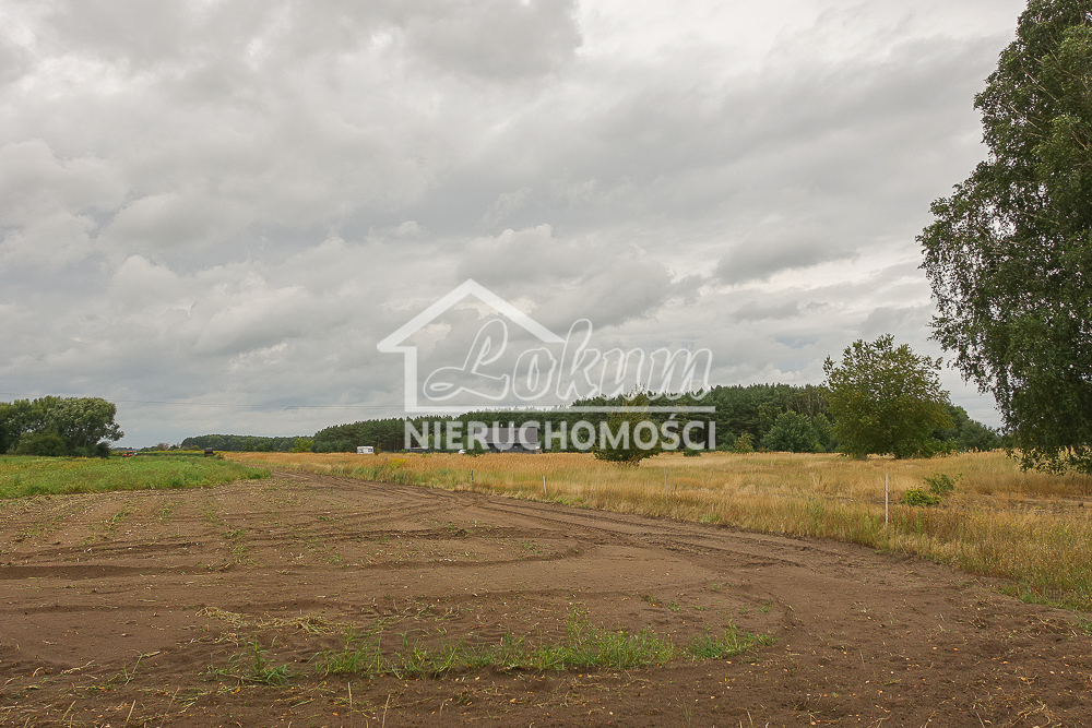 Działka rolna 1352 m², Lubczyna, Kasztanowa - zdjęcie 14