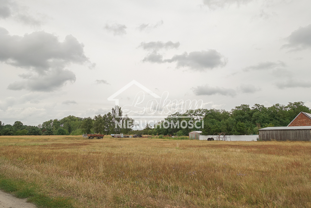 Działka rolna 1352 m², Lubczyna, Kasztanowa - zdjęcie 15