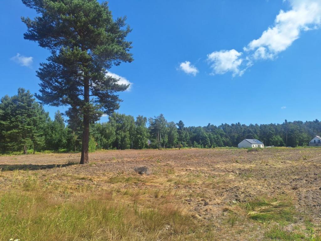 Działka inwestycyjna 1492&nbsp;m², Chrząstawa Wielka, Bażancia - zdjęcie 1