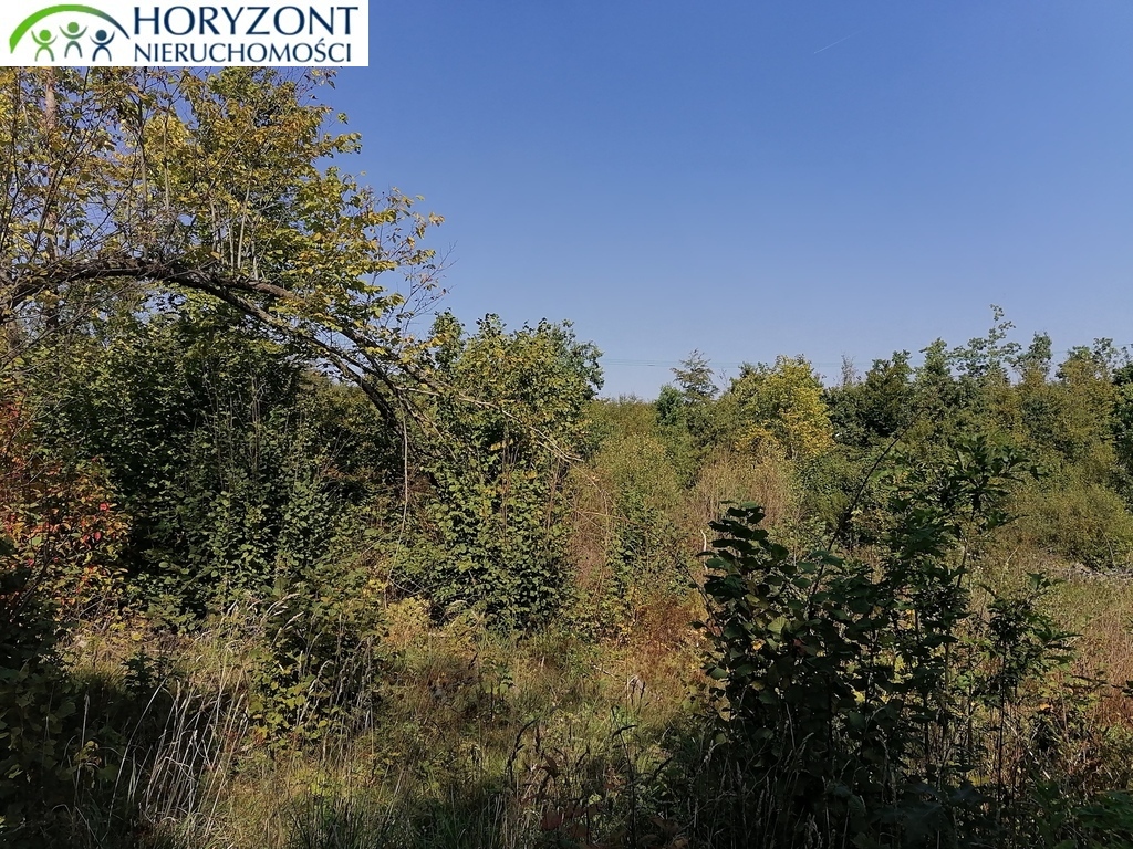 Działka budowlana 6260&nbsp;m², Sulęczyno - zdjęcie 5