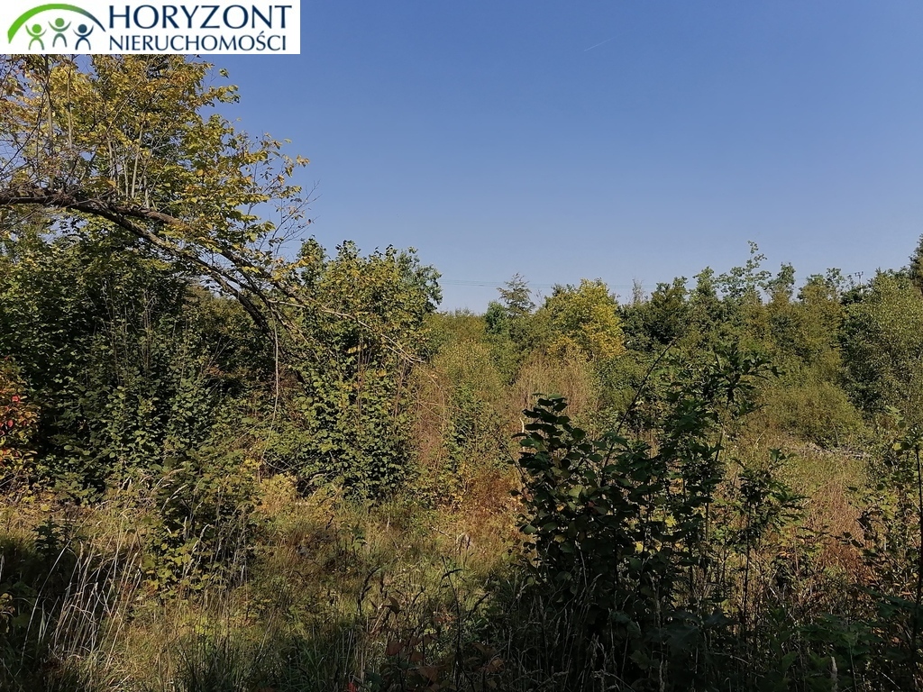 Działka budowlana 6260&nbsp;m², Sulęczyno - zdjęcie 6