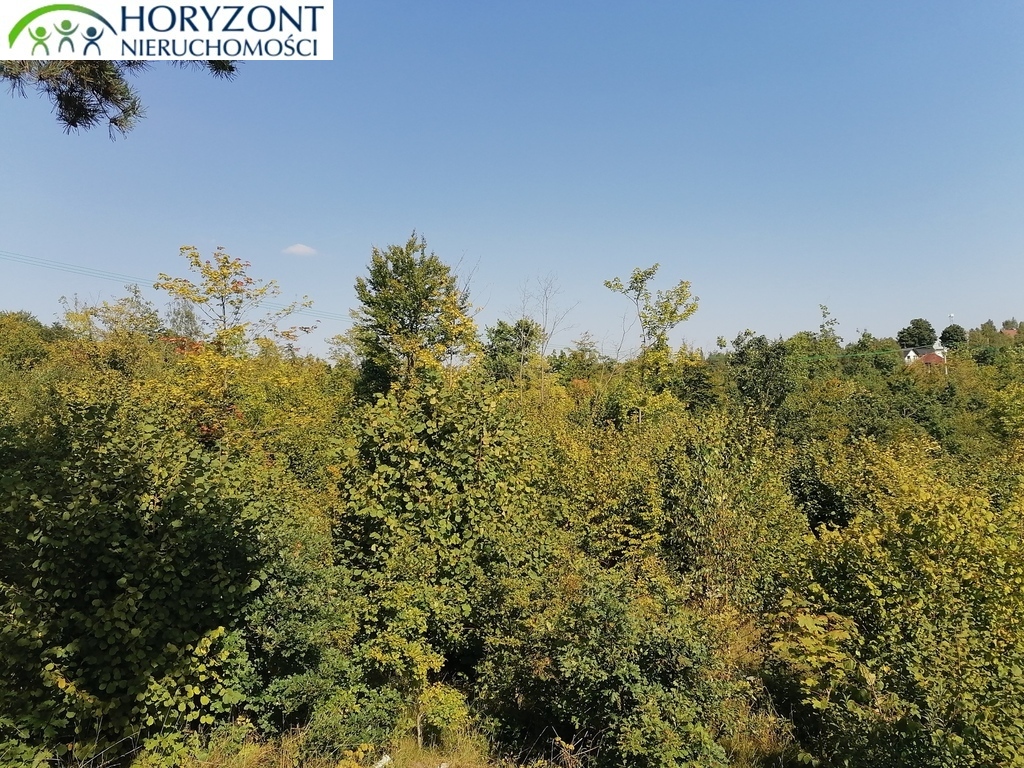 Działka budowlana 6260&nbsp;m², Sulęczyno - zdjęcie 3