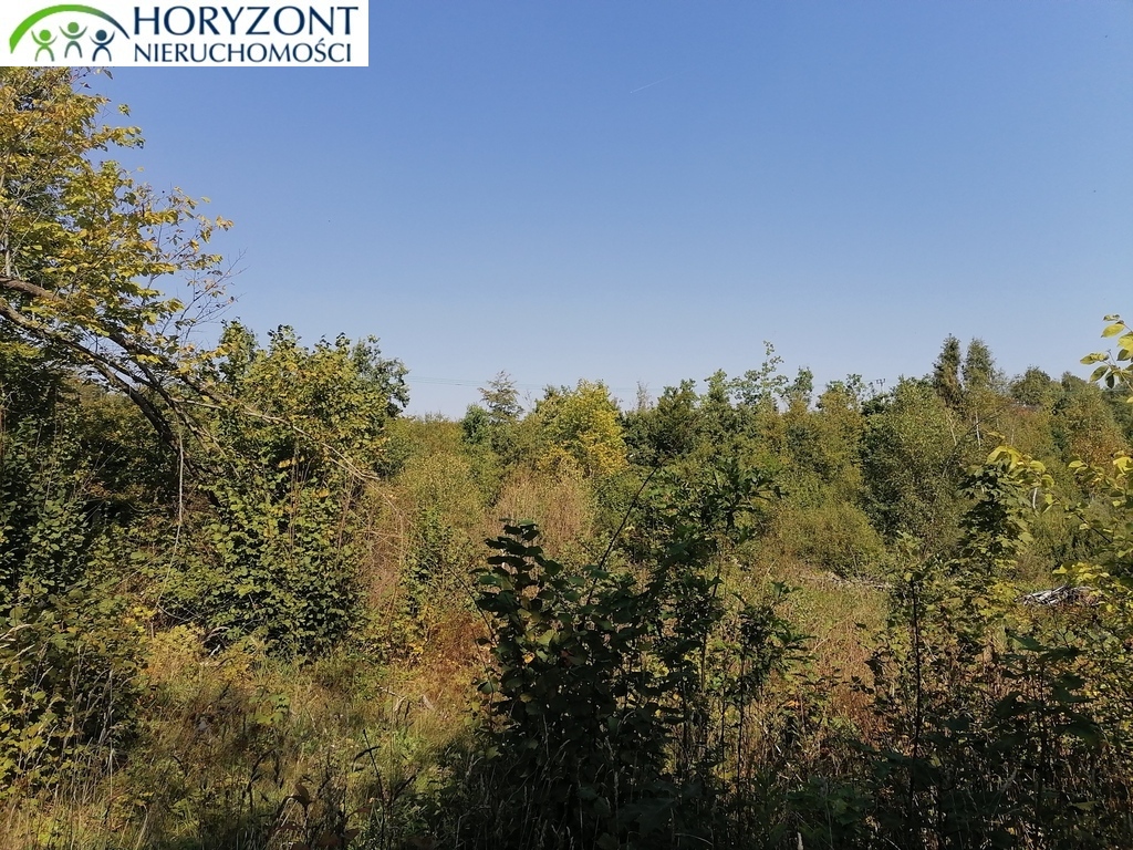 Działka budowlana 6260&nbsp;m², Sulęczyno - zdjęcie 4