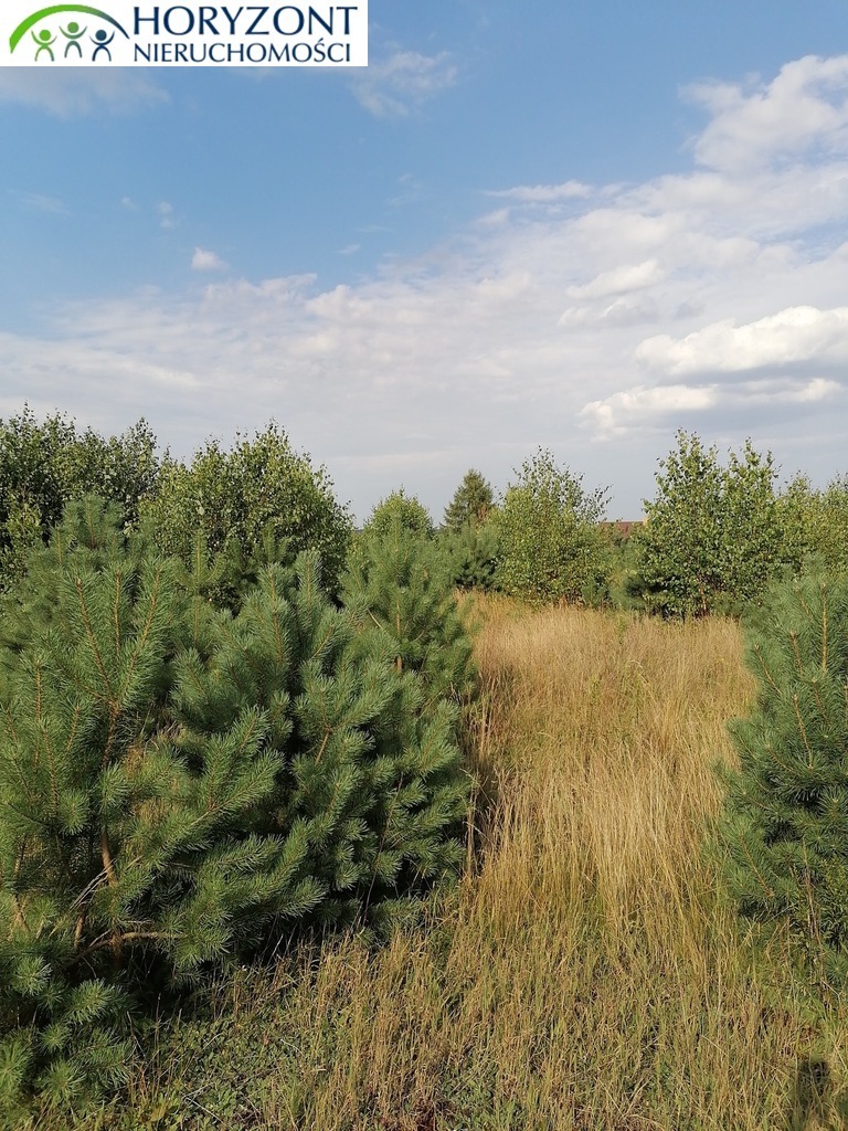 Działka budowlana 1011 m², Koleczkowo - zdjęcie 2