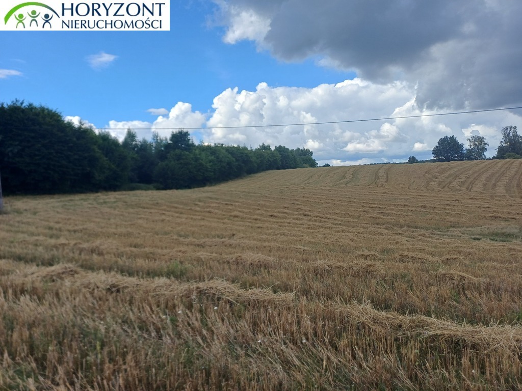 Działka budowlana 1,22 ha, Grabowska Huta - zdjęcie 4