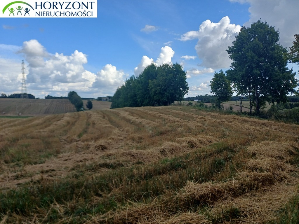 Działka budowlana 1,22 ha, Grabowska Huta - zdjęcie 14