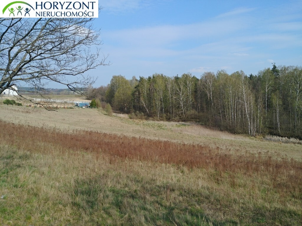 Działka budowlana 5220&nbsp;m², Glincz - zdjęcie 7
