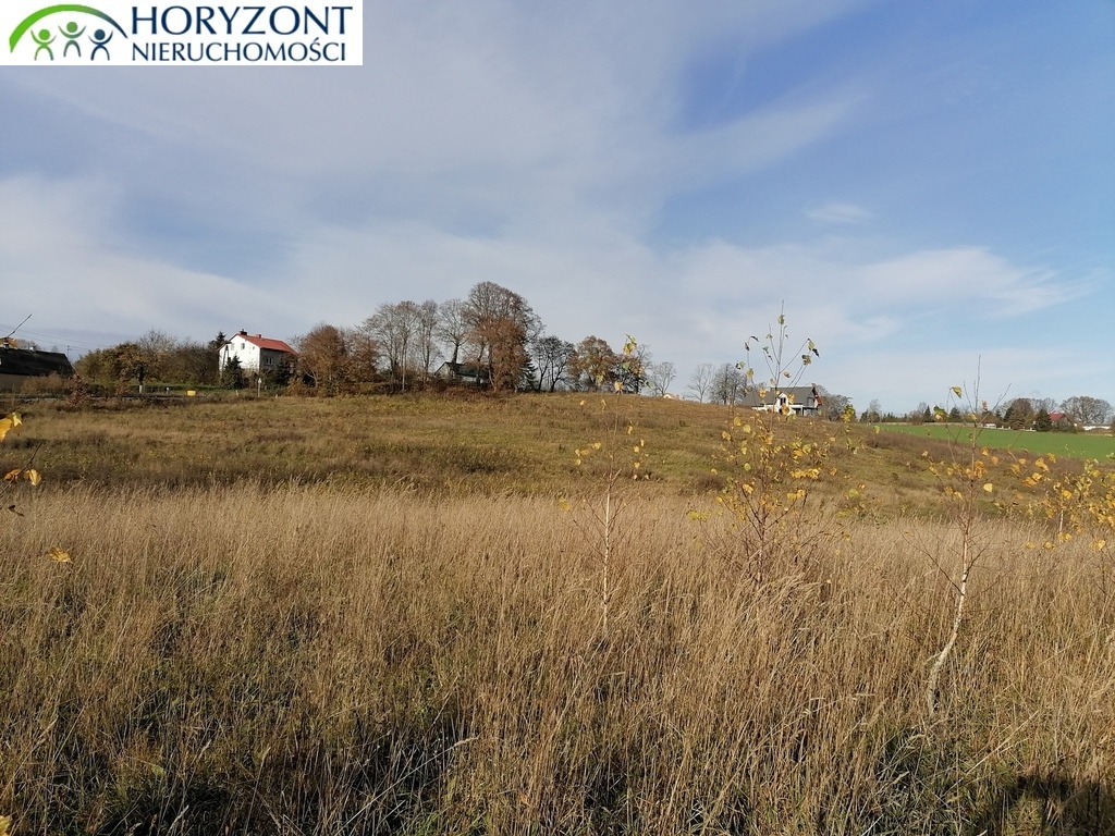 Działka budowlana 3200 m², Żukowo - zdjęcie 5
