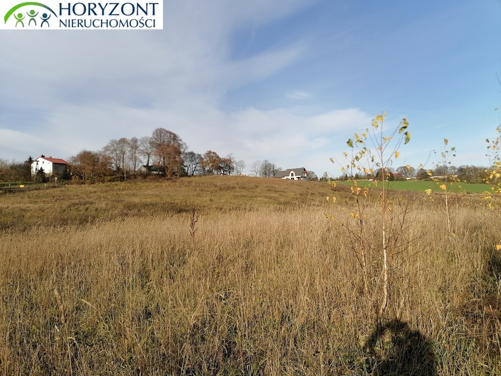 Działka budowlana 3200 m², Żukowo - zdjęcie 4