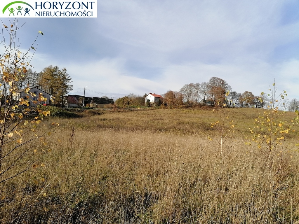 Działka budowlana 3200 m², Żukowo - zdjęcie 7