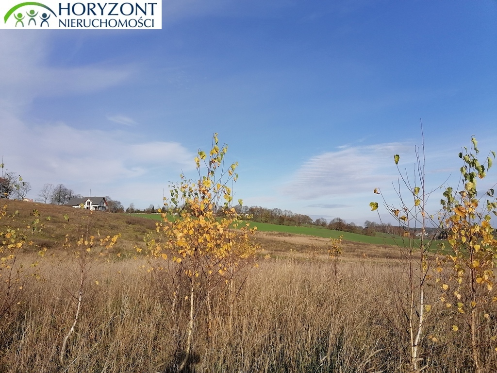 Działka budowlana 3200 m², Żukowo - zdjęcie 10