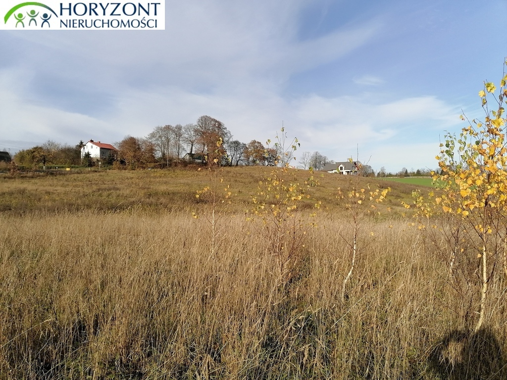 Działka budowlana 3200 m², Żukowo - zdjęcie 8