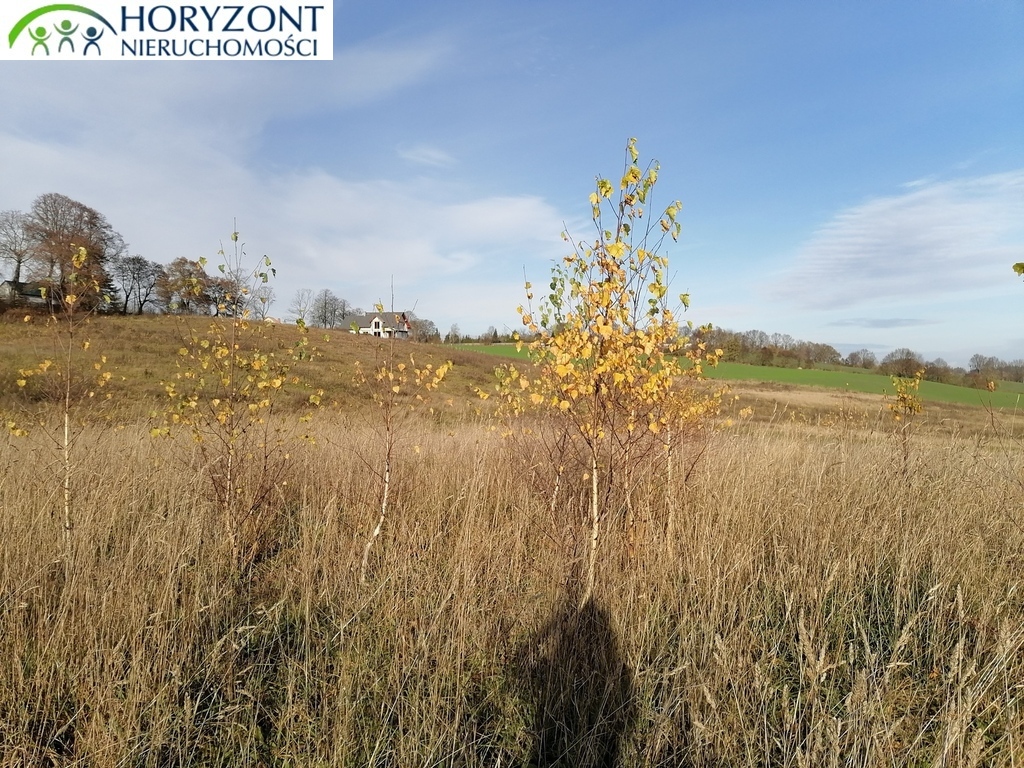 Działka budowlana 3200 m², Żukowo - zdjęcie 9
