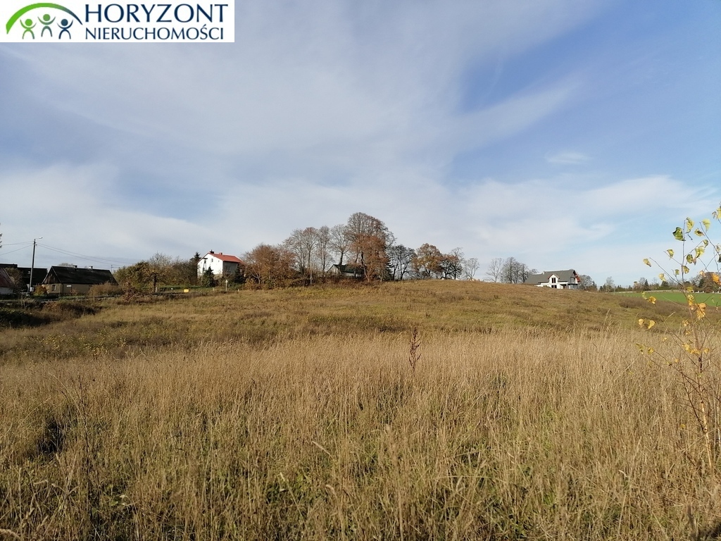 Działka budowlana 3200 m², Żukowo - zdjęcie 2