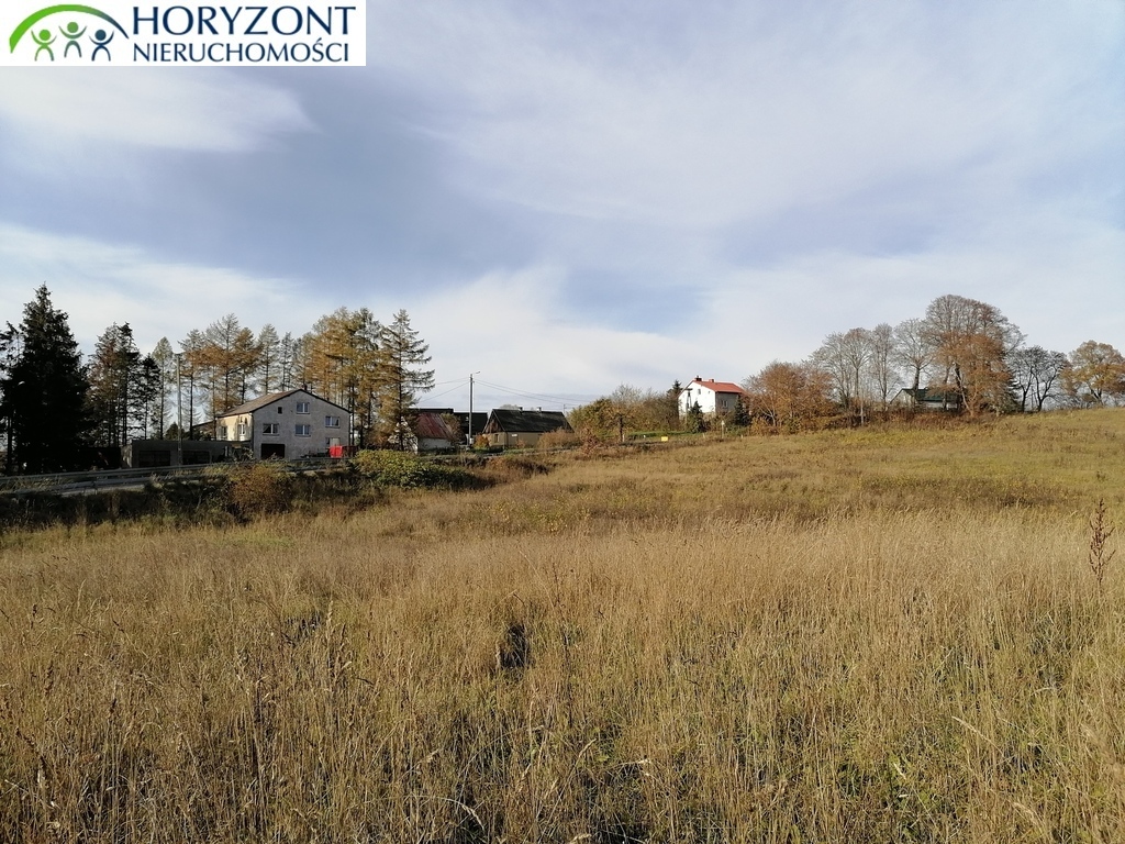 Działka budowlana 3200 m², Żukowo - zdjęcie 3