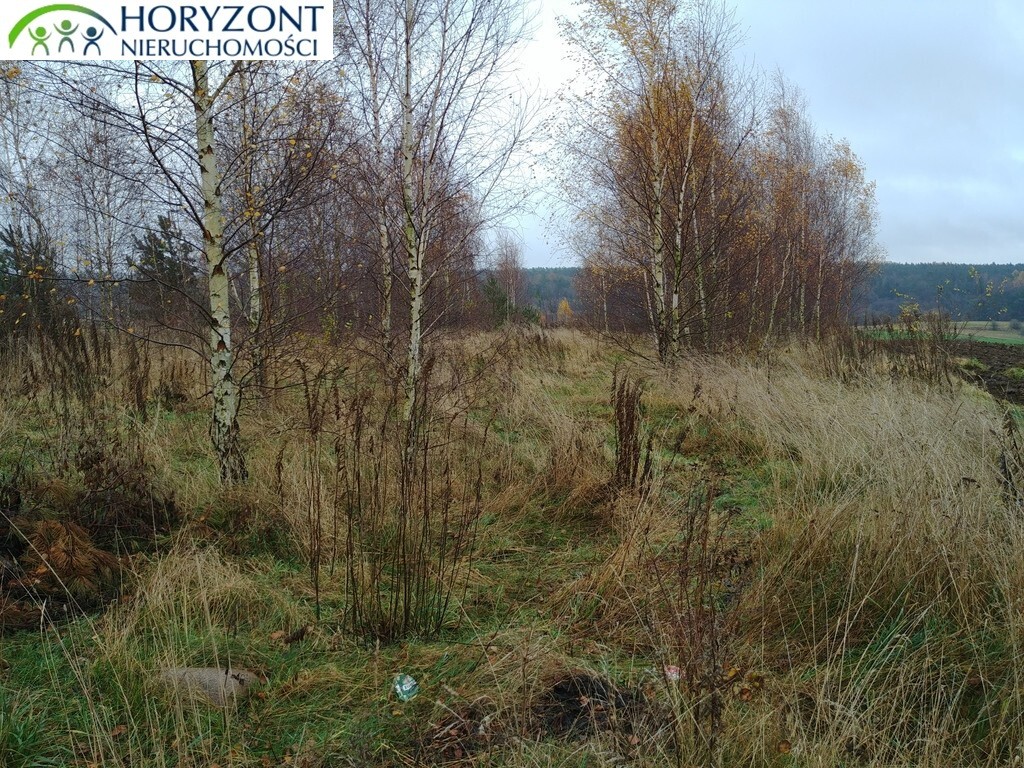 Działka inwestycyjna 1,77 ha, Żukowo - zdjęcie 4