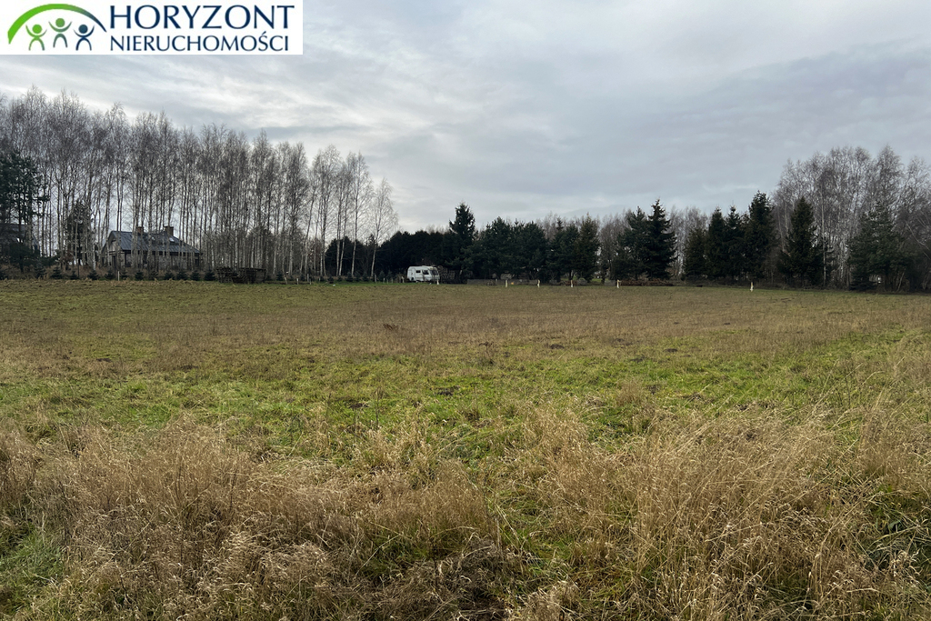 Działka budowlana 1650&nbsp;m², Lisewiec - zdjęcie 3