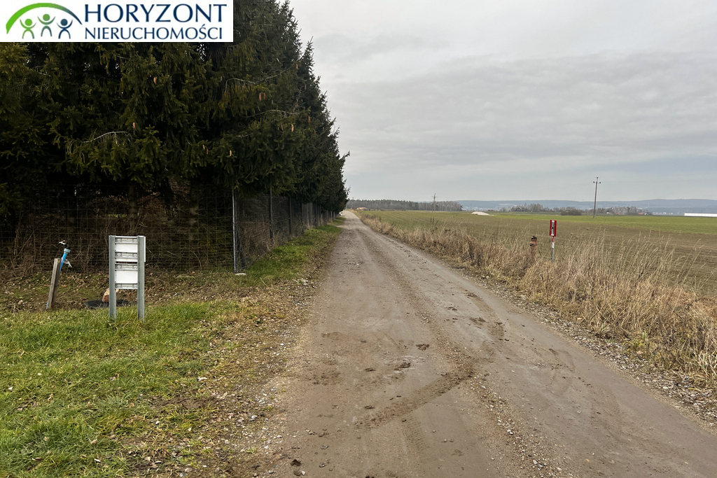 Działka budowlana 1650&nbsp;m², Lisewiec - zdjęcie 6