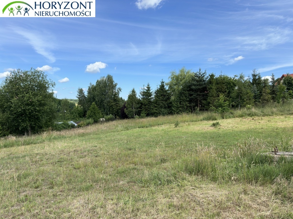 Działka budowlana 865 m², Czaple - zdjęcie 5