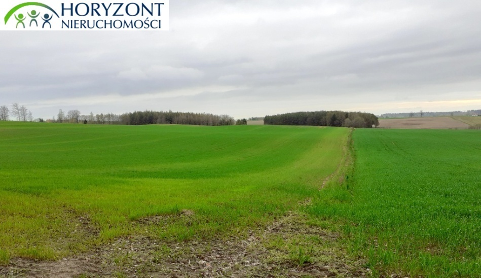 Działka budowlana 1222 m², Borcz - zdjęcie 2