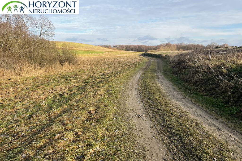 Działka budowlana 1183&nbsp;m², Lisewiec - zdjęcie 6