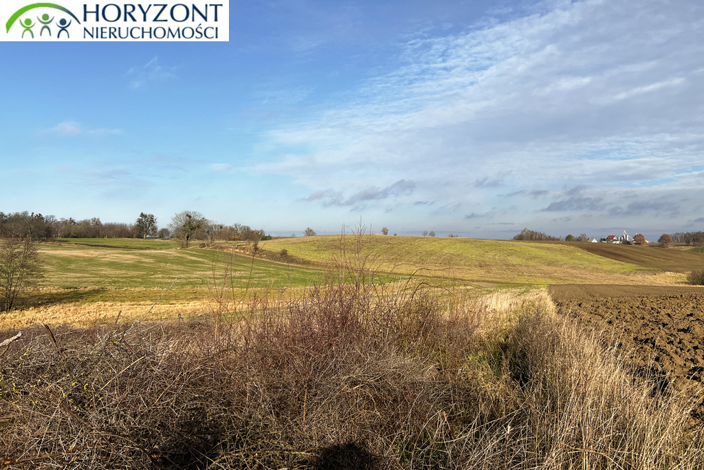 Działka budowlana 1183&nbsp;m², Lisewiec - zdjęcie 1